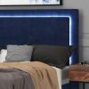 LUMINA-78'' BED-BLUE