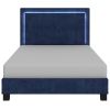 LUMINA-60'' PLATFORM BED-BLUE