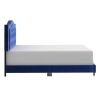 PIXIE-60'' BED-BLUE