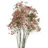 Pink Babys Breath Gypsophilia