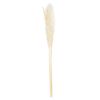 Cream Pampas Grass Stem