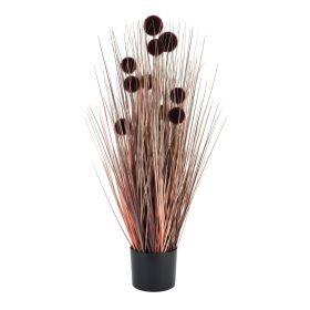 Large Burgundy Pompom Alliums In Black Pot