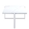 VENO-COFFEE TABLE-WHITE/SILVER