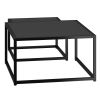 QUINN-2PC COFFEE TABLE-BLACK