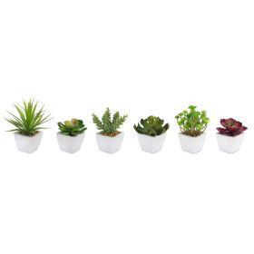 Potted Succulent (Set of 6) 7"H Ceramic/Plastic