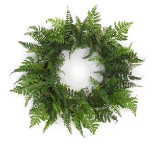 Fern Wreath 24"D Plastic