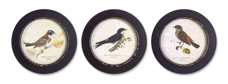 Framed Bird Print (Set of 3) 9.5"D MDF