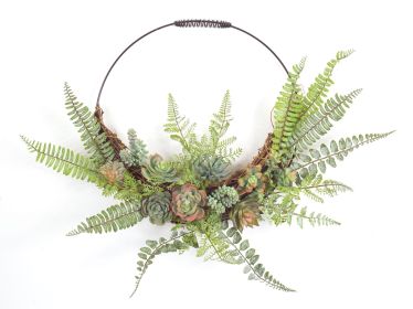 Fern and Succulent Wall Decor 24.5" x 19.25"H Plastic/Wire