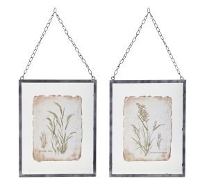 Grass Frame (Set of 2) 12.5" x 16"H Glass/Metal