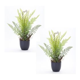 Fern Potted (Set of 2) 11" x 18"H Plastic