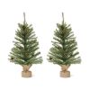 Mini Pine Tree 2'H (Set of 2) PVC