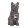 Dog w/Lantern 15.5"H Resin