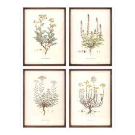 Floral Print (Set of 4) 12"L x 17.5"H MDF/Wood/Paper/Glass