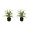 Potted Fern Bush (Set of 2) 21"H Plastic