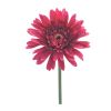 Gerbera Daisy Stem (Set of 6) 22"H Polyester