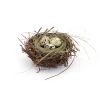 Nest with Eggs (Set of 6) 6"D x 2.5"H Natural/Foam