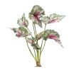 Caladium Bush (Set of 6) 18.5"H Polyester