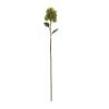 Hydrangea Stem (Set of 6) 34"H Polyester