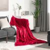 84 x 62 Inch Heated Blanket Electric Throw with 5 Heating Levels - Red