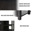 2-Tier TV Storage Cabinet Console with Adjustable Shelves - As the picture shows