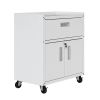 Manhattan Comfort Fortress Textured Metal 31.5" Garage Mobile Cabinet with 1 Full Extension Drawer and 2 Adjustable Shelves in White - Default Title