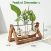 mothers day gifts-Desktop Glass Planter Bulb Plant Terrarium with Wooden Stand - Wood