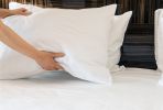 Luxurious Viscose from 100% Bamboo 4-Piece Sheet Set , Oeko-TEX Certified, Queen - White - as Pic